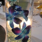 jennybflowers_orchid_arrangements